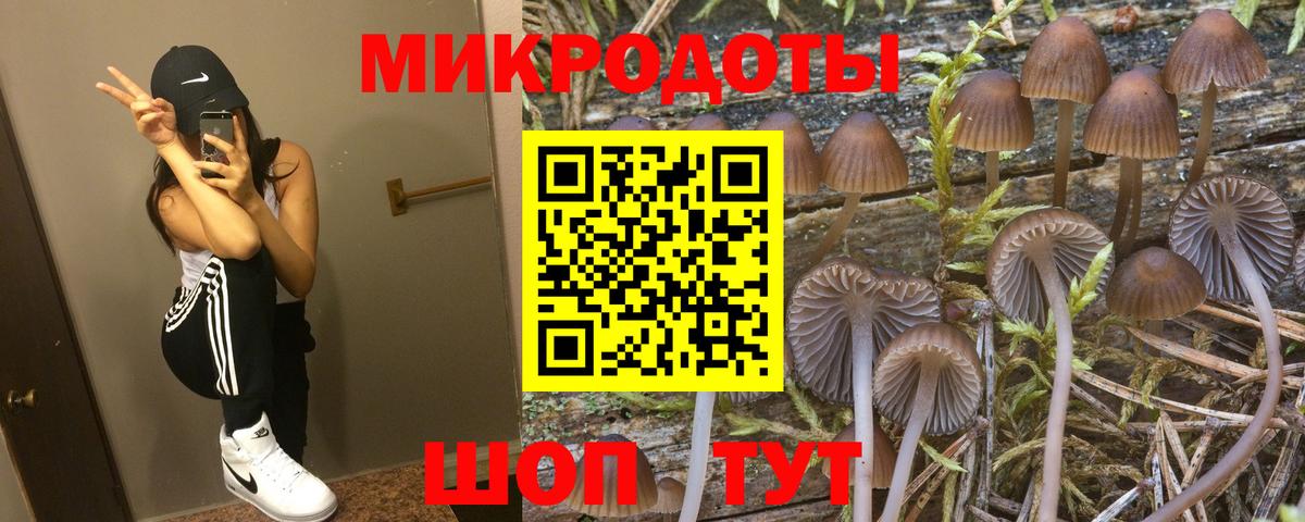 закладка  Вход с VPN  Псилоцибиновые грибы GOLDEN TEACHER  Ступино  Галлюциногенные грибы мухоморы 